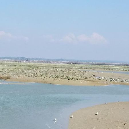 Superbe Studio Au Crotoy Acces Direct Plage Le Crotoy Εξωτερικό φωτογραφία